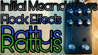 Flock Effects Rattus Rattus: initial meanderings