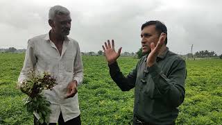 મગફળી માં બહુ ખર્સો કરવાં કરતાં થોડો સમય ખમો..