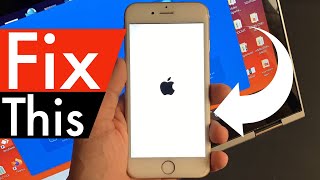 Fix iPhone Won’t Turn on Past Apple Logo on iPhone 5/7/8/x/11 - Easily & Quickly