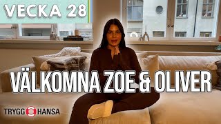 TVÅ TÄTA GRAVIDITETER! - Zoe Brown \u0026 Oliver Ingrosso vecka 28