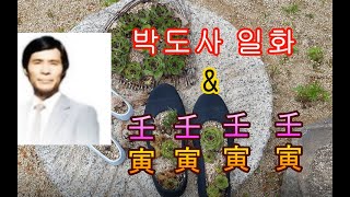 박도사 일화 \u0026 임인 천원일기격 - 피클의 행복한 명리