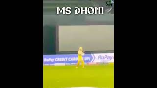 The stadium entry ms dhoni || #shorts #ipl #trending #ipl2023 #viral #msdhoni