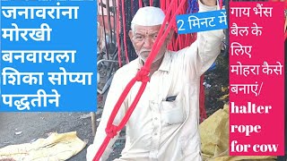 जनावरांना मोरखी बनवायला शिका घरच्याघरी, बैलपोळा/bail Pola / morkhi.