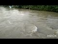 hindupuram kotnur lake video 😭