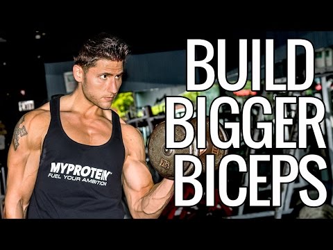 How To Build Bigger Biceps Youtube
