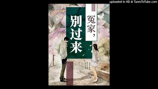 《冤家别过来》有声小说第155集