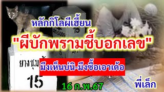 #หลักกิโลเฮี้ยน #ผีอ้ายพราม #บอกเลข #พี่เล็ก 16 ก.พ.67