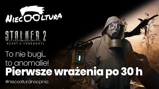 Pierwsze wrażenia po 30 godzinach gry! S.T.A.L.K.E.R. 2 Serce Czarnobyla - #niecoolturalnaopinia