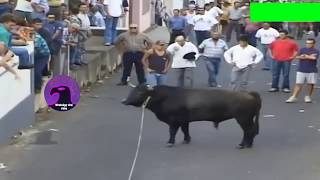 Best funny videos 2020 | most awesome bullfighting festival  funny crazy bull fails