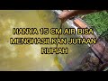 KEDALAMAN AIR YANG IDEAL SETIAP UKURAN BIBIT IKAN GURAME#budidaya #gurame