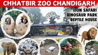 Lion Safari In Chhatbir Zoo Chandigarh | Dinosaurs Park Chhat Bir Zoo Chandigarh | Chhatbir Zoo