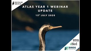 NZ Bird Atlas Year 1 Update