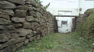 Module 4 Video Assignment