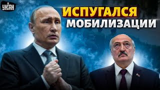 Путин боится мобилизации, Лукашенко петляет, генерал-болванчик ответит за Херсон – Дмитрий Гудков