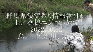 群馬県渓流釣り番外編　上州漁協ニジマス放流　2022.10.22　烏川、碓氷川、鏑川