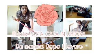 Pulizie di tutta Casa In un'ora ⭐  Pulizie Pomeridiane•Dopo il lavoro• Vita Da Mamma•