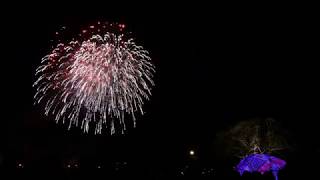 【夜梅祭2018】夜梅花火 ～春魁(さきがけ)の花火～【野村花火工業】Night plum fireworks