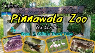 Exploring Pinnawala Zoo| #TravelSriLanka Majestic Animals, Serene Gardens \u0026 Family Fun!