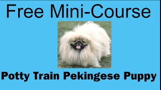 **ASAP** Potty Train Pekingese Puppy - Free Mini-course on Potty Train Pekingese Puppy
