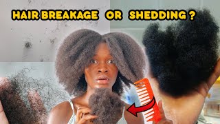 Is my hair shedding or breaking?? | How to stop  \u0026 prevent hair loss \u0026 breakage