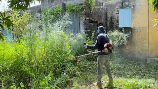 Transforming an Abandoned House Cleaning Up a Messy Front Yard & Hallway