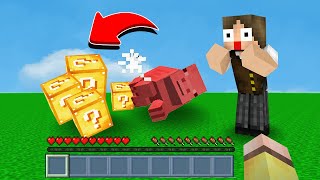 MINECRAFT, MAS TODOS OS MOBS DROPAM LUCKY BLOCKS