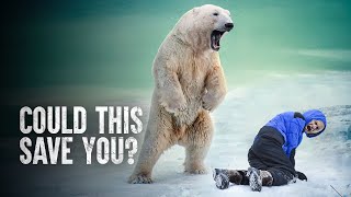 Do Polar Bears Hunt People for Food?