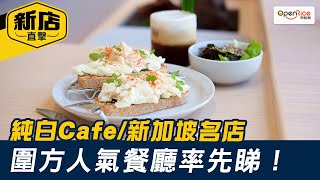 純白Cafe/新加坡名店/咖啡沖煮體驗  圍方人氣餐廳率先睇！