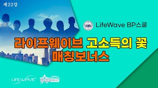 라이프웨이브 고소득의 꽃 매칭보너스 - lifeWave BP 스쿨 KSS, GNMU