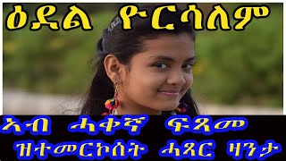 cinema semere today ፡ ኣብ ሓቀኛ ፍጻመ ዝተመርኮሰት ሓጻር ዛንታ ዕደል ዮርሳለም by Haileab