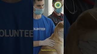 The World of Veterinary Science #veterinaryscience #researchimpact