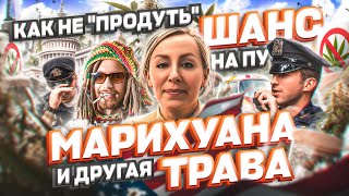 Марихуана и другая ТРАВА: как не продуть шанс на политическое убежище в США #иммиграция #жизньвсша