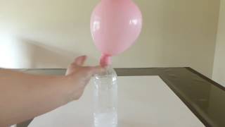 重曹と酢で風船を膨らませる実験：Balloon Blow-Up Experiement