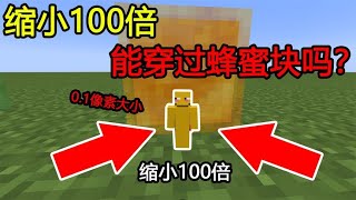 MC：缩小100倍，能穿过粘液块吗？没想到翻车了！【煞神吖】