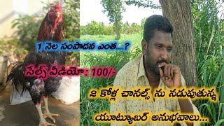 2 కోళ్ల చానల్స్ ను నడుపుతున్న యూట్యూబర్ అనుభవాలు....!