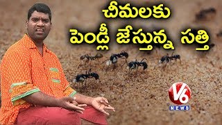 Bithiri Sathi Performing Ants Marriage | Satirical Conversation With Savitri | Teenmaar News