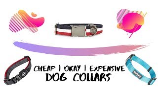 Cheap | Okay | Expensive - Dog Collars!!!