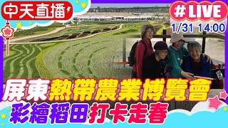 【中天直播 #LIVE】屏東熱帶農業博覽會 彩繪稻田打卡走春 20250131 @中天新聞CtiNews