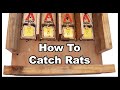 How To Catch Rats. A Better Way To Eliminiate Rats With This Amazing Rat Trap Box. Mousetrap Monday.