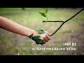 จักรพรรดิพันมือพันศีรษะบทที่112 ความหลากหลายและเท่าเทียม