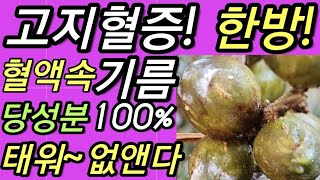 고지혈증!,한방에~치료!,혈액속,껄쭉한,기름덩어리!,당성분100%,태워,없애는,천연기름!         노간주나무,노간주열매,노간주열매기름,두송유,杜松油,@WellbeingTV