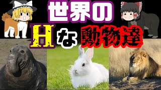 【ゆっくり解説】衝撃！世界の叡智な動物達！！