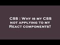 CSS : Why is my CSS not applying to my React components?