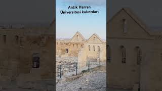 Harran Üniversitesi Abbasi Devletinin başkenti medeniyetlerin beşiğindeki ilim kokan mıntıka #harran