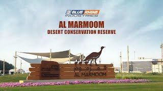 Al Marmoom Desert Conservation Reserve.