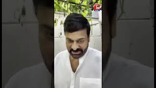 వైరల్ అవుతున్న చిరంజీవి తోట వీడియో| T99 NEWS |#chiranjeevi #alluarjun #chiranjeevifans