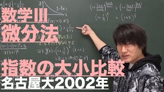 微分法の応用８：微分法と指数の大小比較②《名古屋大2002年》