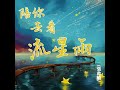 陪你去看流星雨