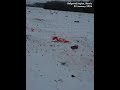 Russian investigators release footage of plane crash site