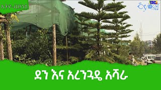 ኢትዮ-ቢዝነስ፡- ደን እና አረንጓዴ አሻራ  Etv | Ethiopia | News